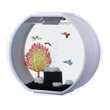 Acuario Decorativo 10L 4 Acuario Decorativo 10L - Imagen 2