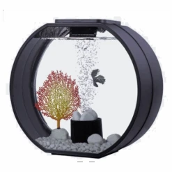 Acuario Decorativo 10L