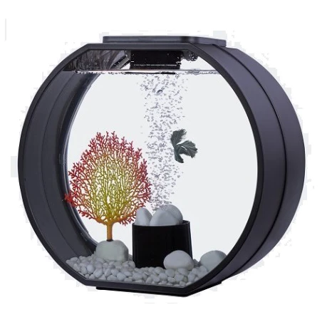 Acuario Decorativo 10L 3 Acuario Decorativo 10L