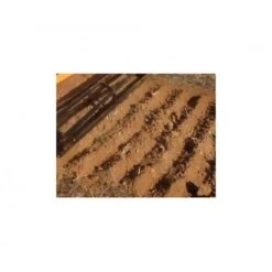 Grada De Discos Rapida ZEPPELIN 160Z -Maquituls Tienda grada de discos rapida zeppelin 160z 4