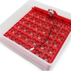 Incubadora Automatica 36 Huevos MQT 8 Incubadora Automatica 36 Huevos MQT -Maquituls Tienda incubadora automatica 36 huevos mqt 2