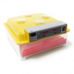 Incubadora Automatica 36 Huevos MQT