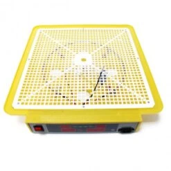 Incubadora Automatica 36 Huevos MQT 9 Incubadora Automatica 36 Huevos MQT -Maquituls Tienda incubadora automatica 36 huevos mqt 3