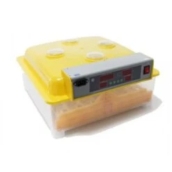 Incubadora Automatica 48 Huevos MQT
