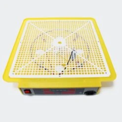 Incubadora Automatica 72 Huevos MQT -Maquituls Tienda incubadora automatica 72 huevos mqt 4